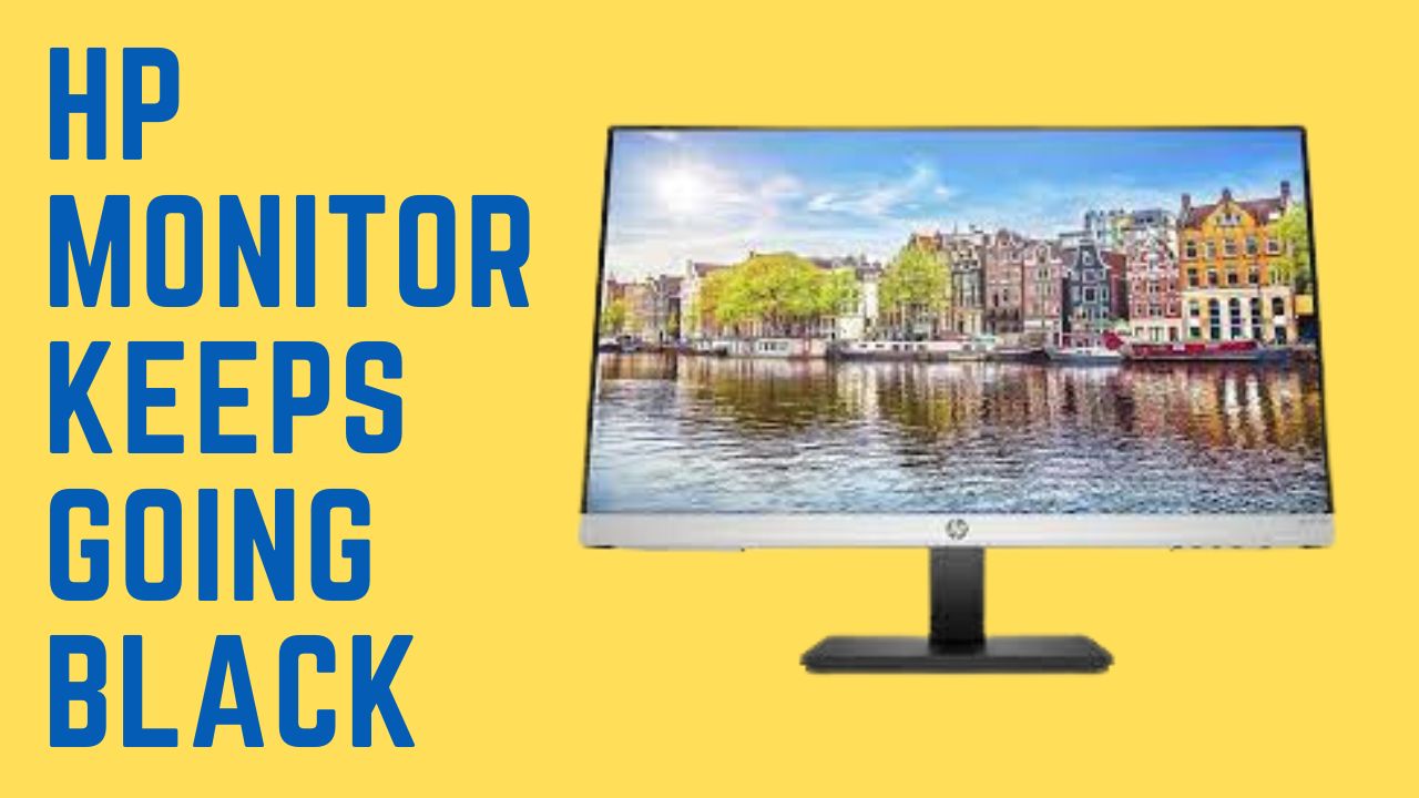 Hp monitor keeps going black